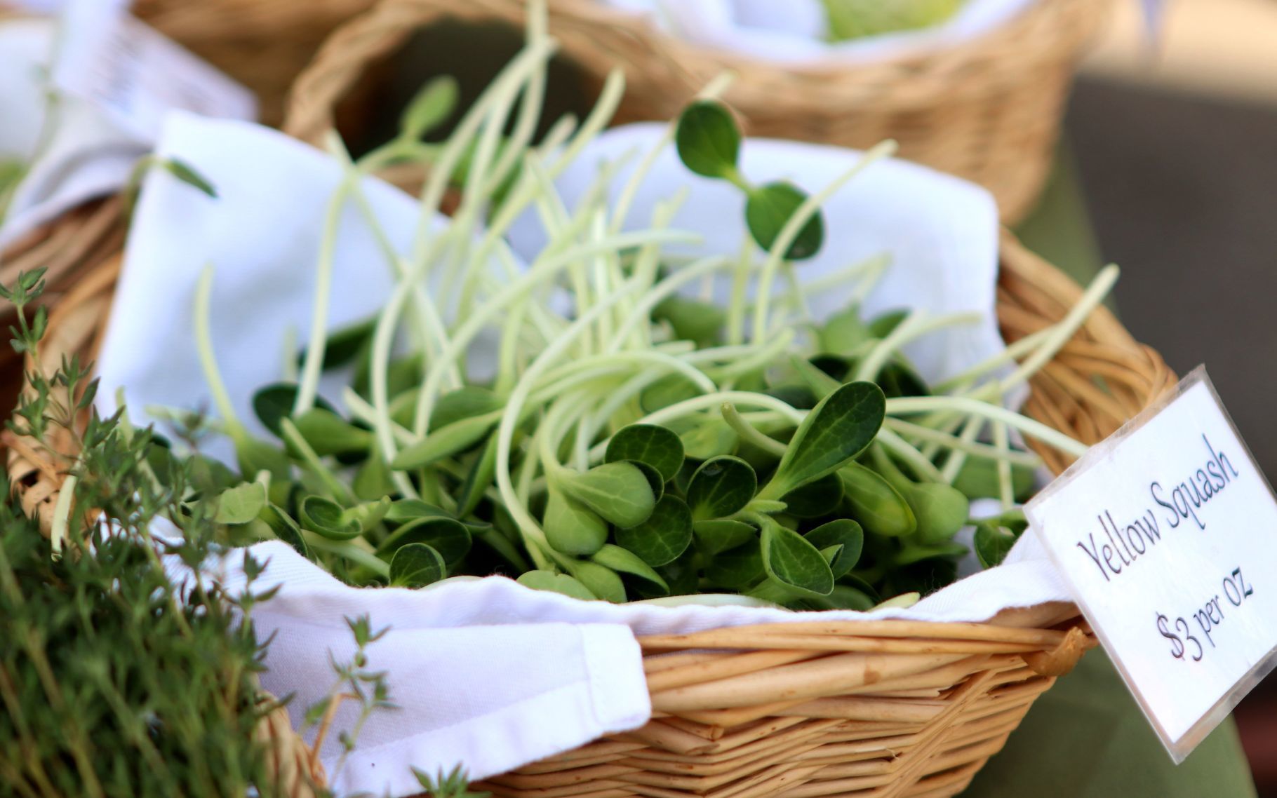 Tower Grove Farmers Market